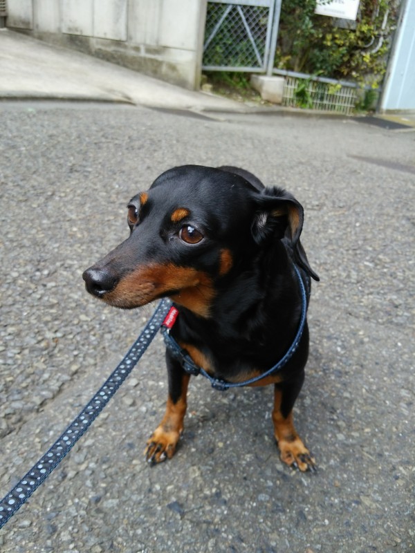 Nobu‘ Second Store